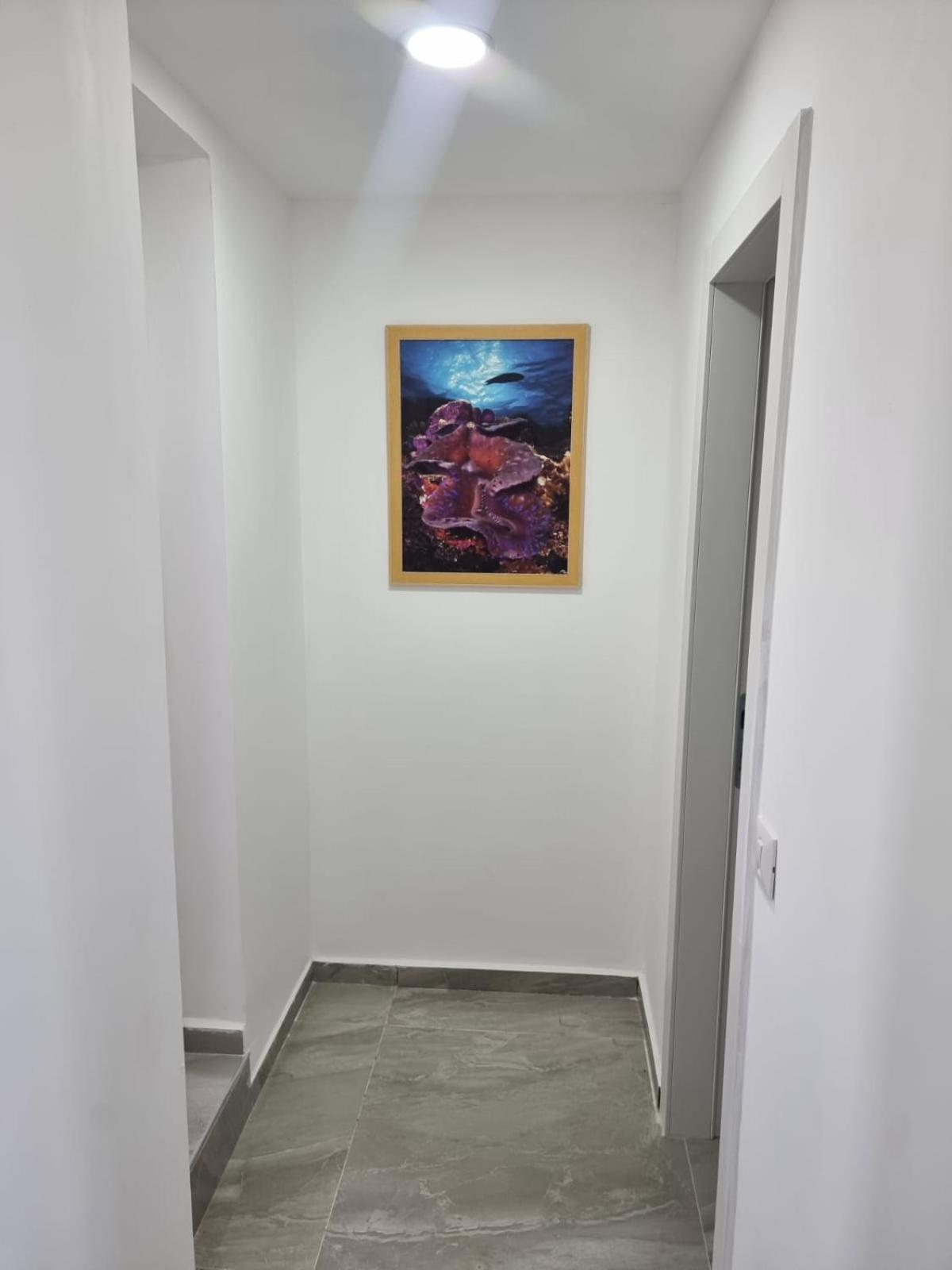 דירת גג נוף המפרץ 1105-6 Appartement Eilat Buitenkant foto